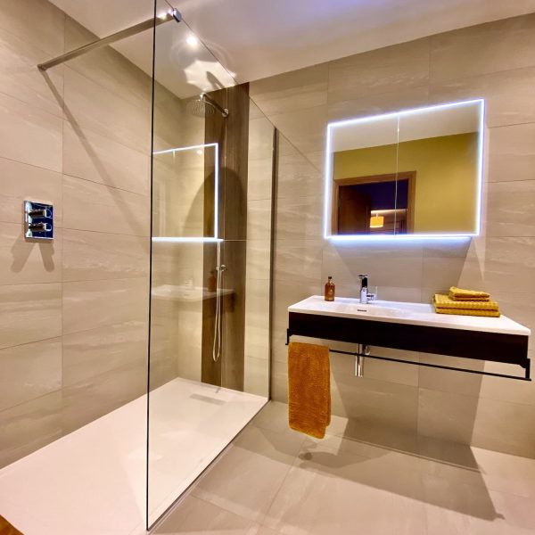 Modern bathroom with mirror, sink and walk in shower